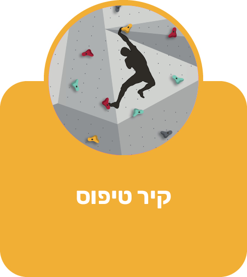 קיר טיפוס